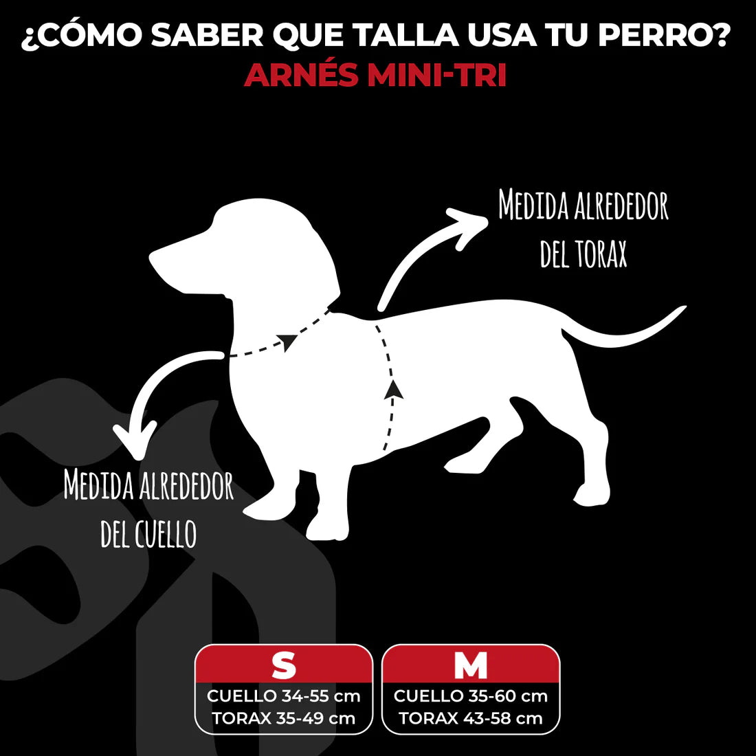 Street Dog Arnés Mini-Strap para Perros Black