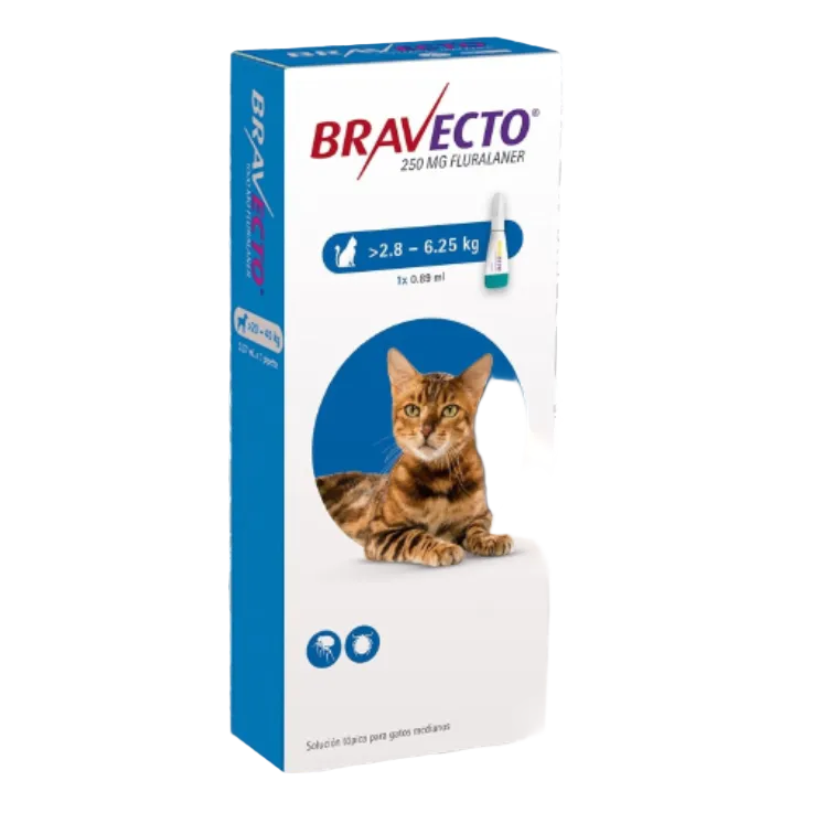 BRAVECTO PIPETA GATO 2,8 a 6,25 KG