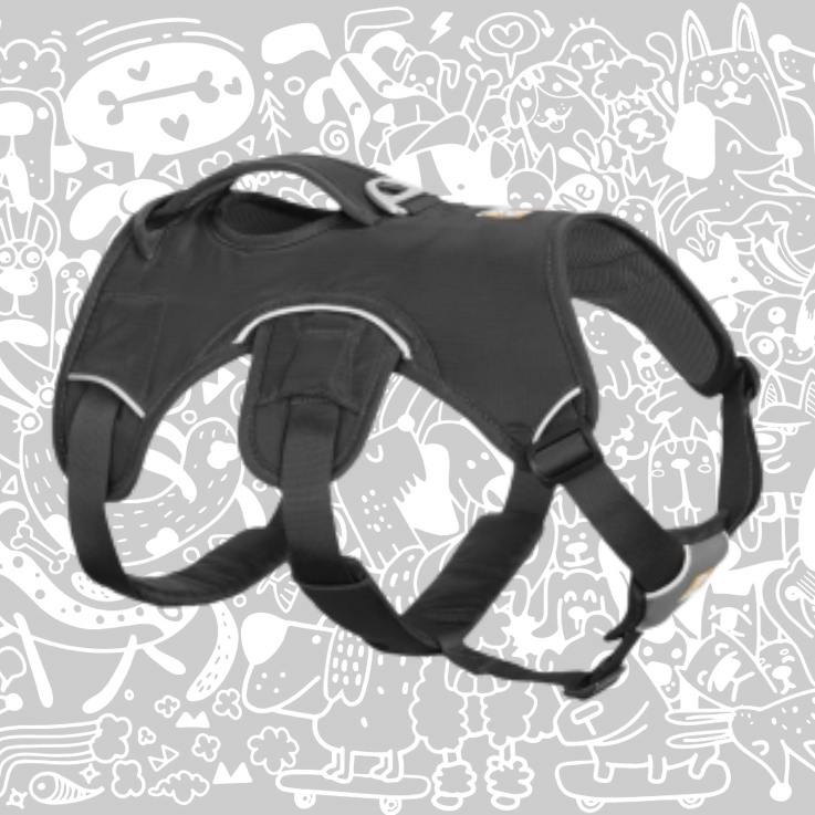 RUFFWEAR WEB MASTER DOG HARNESS