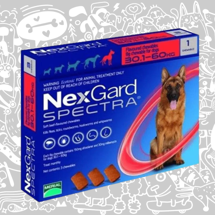 NEXGARD SPECTRA PARA PERROS 30,1-60 KG
