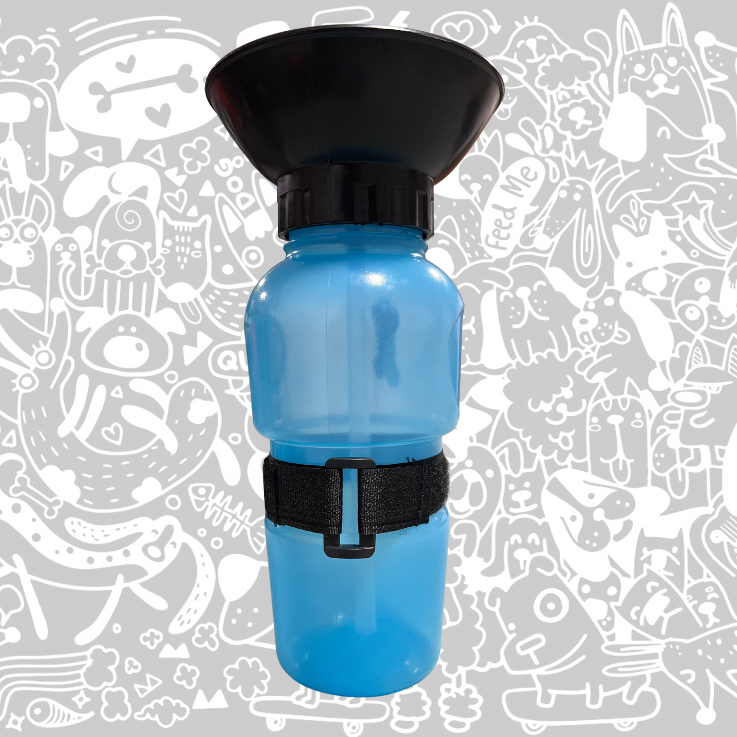 BOTELLA DE PASEO PUSH