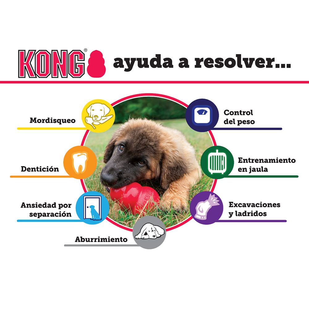 KONG DRAGON KNOTS
