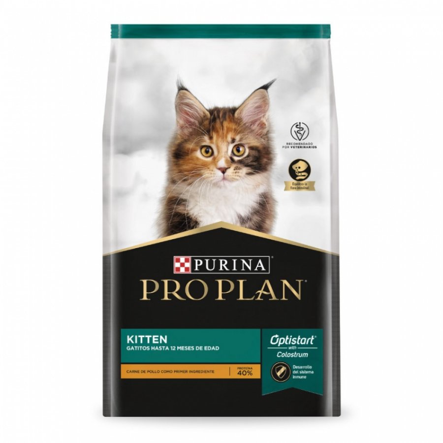 Pro plan kitten