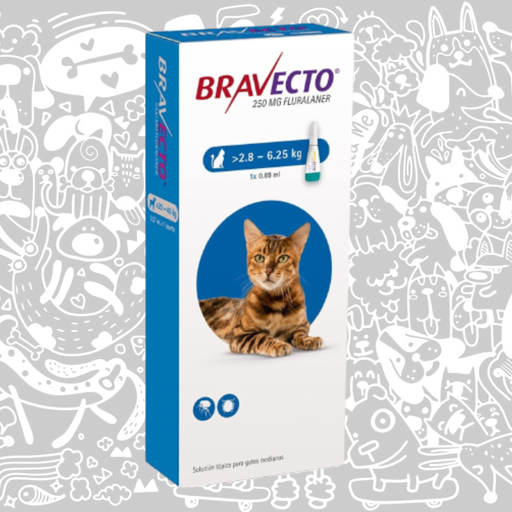 BRAVECTO PIPETA GATO 2,8 a 6,25 KG