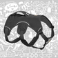 RUFFWEAR WEB MASTER DOG HARNESS