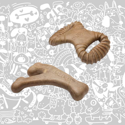 BENEBONE PUPPY 2 PACK BACON
