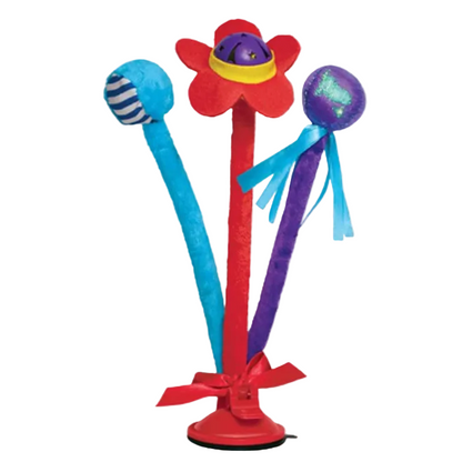 KONG CONNECTS BAT iN SPRING