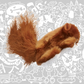 KONG PELUCHES RELLENABLES CON CATNIP