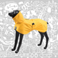 SHEEP DOGZ CHAQUETA FITZ - ROY