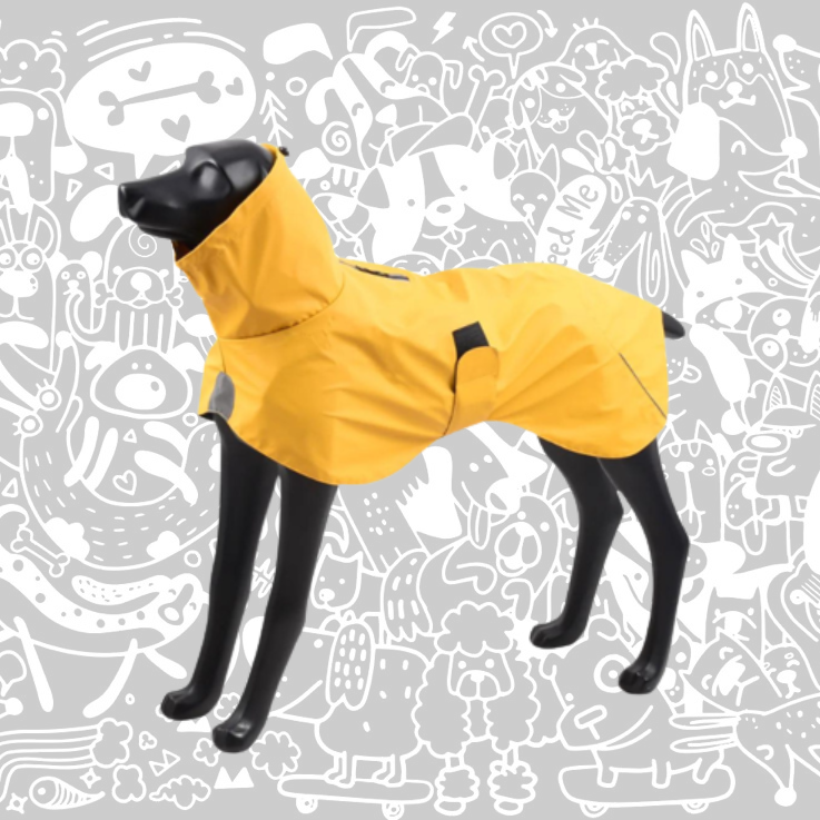 SHEEP DOGZ CHAQUETA FITZ - ROY