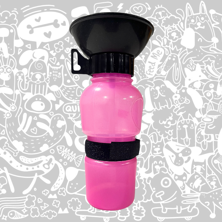 BOTELLA DE PASEO PUSH