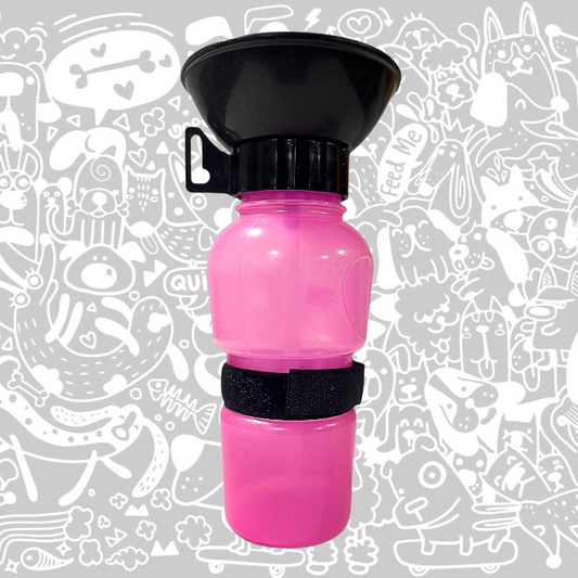 BOTELLA DE PASEO PUSH