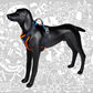 SHEEP DOGZ ARNES PUELO TRINAR ANDINO MARTIN PESCADOR
