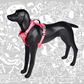SHEEP DOGZ ARNES PUELO TRINAR ANDINO FLAMENCO