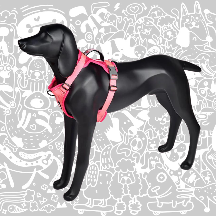 SHEEP DOGZ ARNES PUELO TRINAR ANDINO FLAMENCO