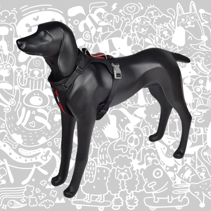 SHEEP DOGZ ARNES PUELO TRINAR ANDINO LOICA
