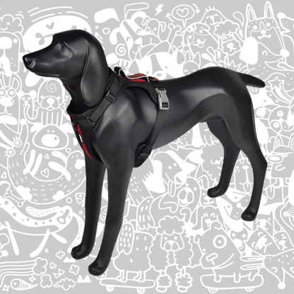 SHEEP DOGZ ARNES PUELO TRINAR ANDINO LOICA