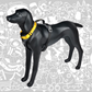 SHEEP DOGZ ARNES PUELO TRINAR ANDINO PINGUINO