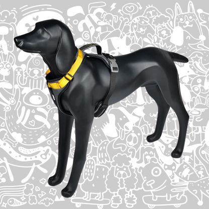 SHEEP DOGZ ARNES PUELO TRINAR ANDINO PINGUINO