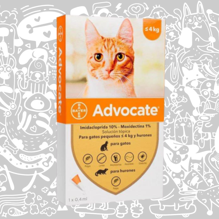 ADVOCATE PIPETA GATO