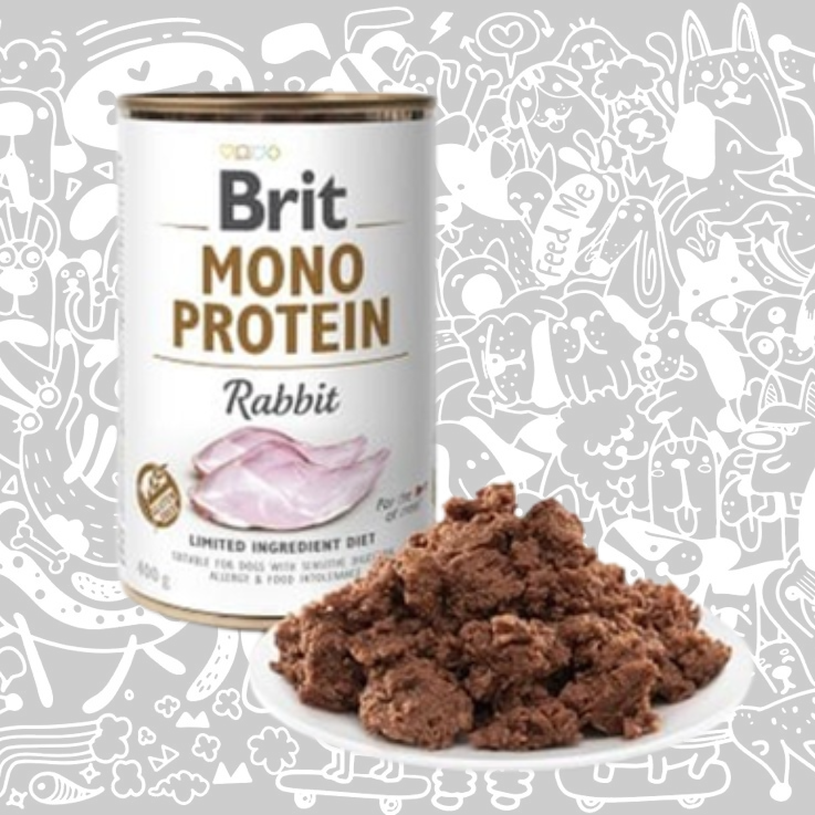 BRIT CARE MONO PROTEIN LATA CONEJO