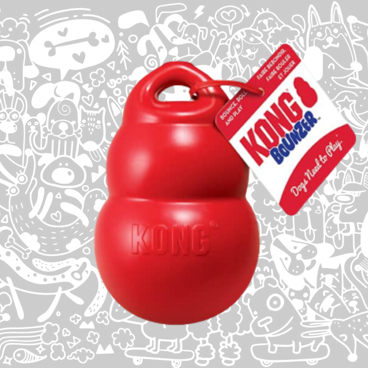 KONG BOUNZER
