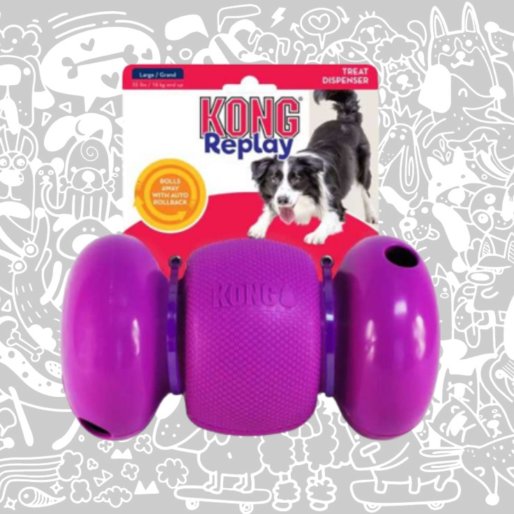 KONG REPLAY L