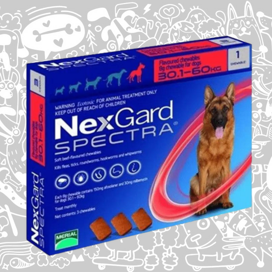 NEXGARD SPECTRA PARA PERROS 30,1-60 KG
