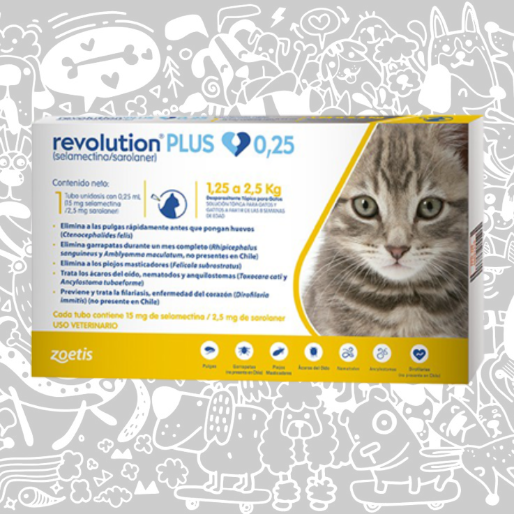 REVOLUTION PLUS PIPETA GATO 1,25-2,5 KG