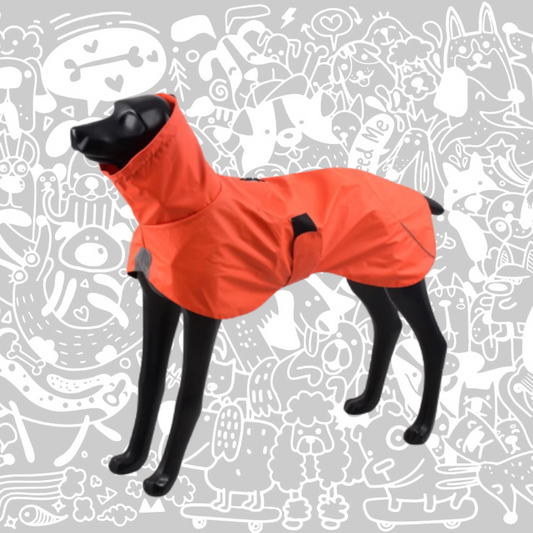 SHEEP DOGZ CHAQUETA FITZ - ROY