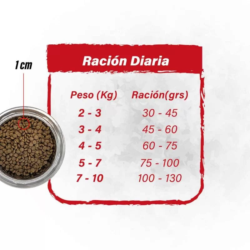 BARFOOD GATO VACUNO