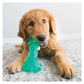 KONG SQUEEZZ DENTAL BONE
