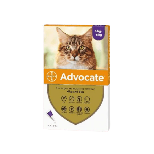 ADVOCATE PIPETA GATO