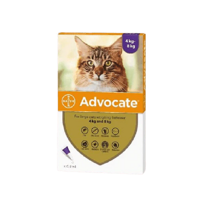 ADVOCATE PIPETA GATO