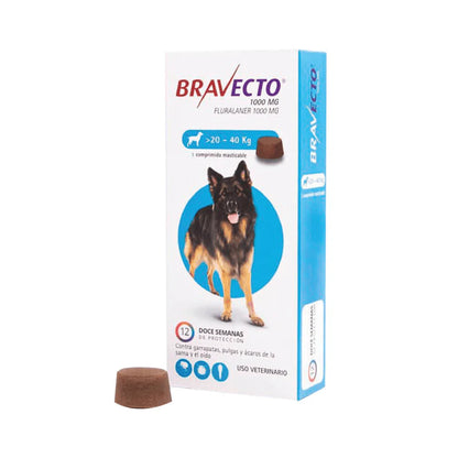 BRAVECTO PERRO