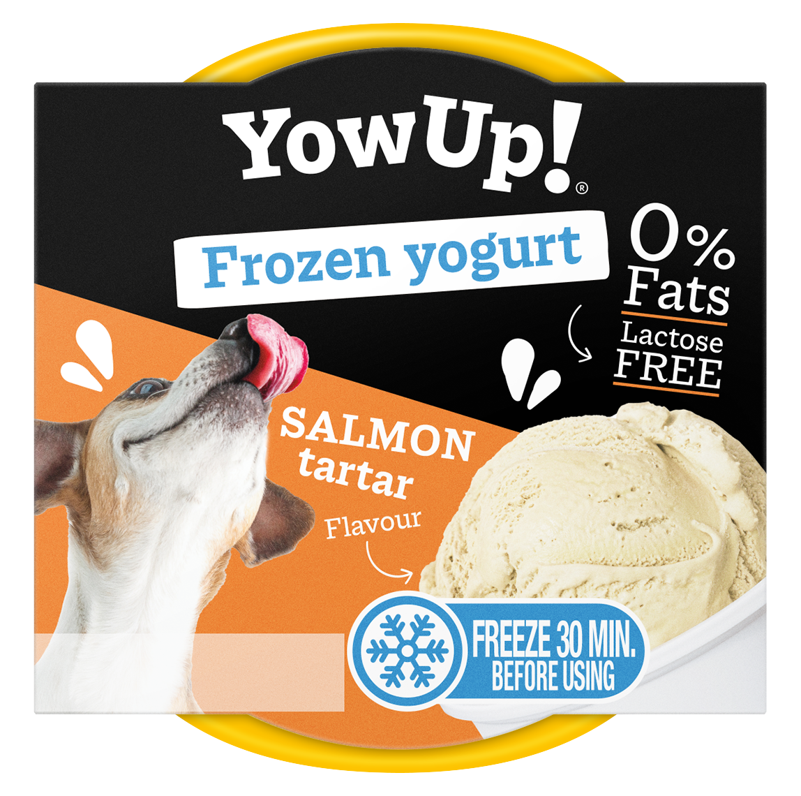 YOW UP! FROZEN YOGURT SALMON PERRO
