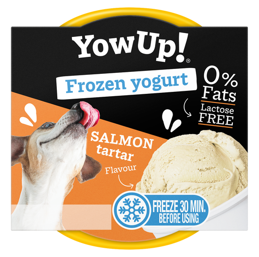YOW UP! FROZEN YOGURT SALMON PERRO