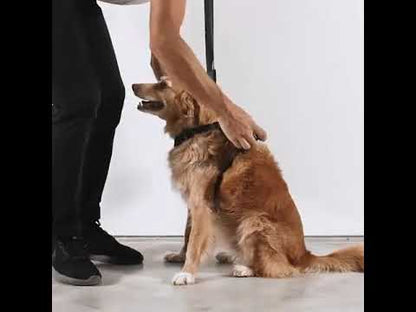 ZEE.DOG SWELL DOG H HARNESS