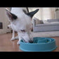 OUTWARD HOUND COMEDERO LENTO ROSADO