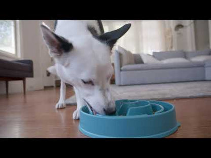OUTWARD HOUND COMEDERO LENTO PÚRPURA