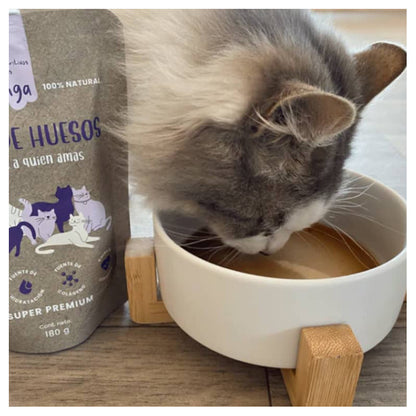 WINGA CALDO DE HUESOS GATO