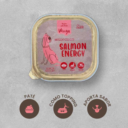 WINGA PATE SAMON ENERGY