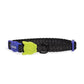 ZEECAT NOX CAT COLLAR